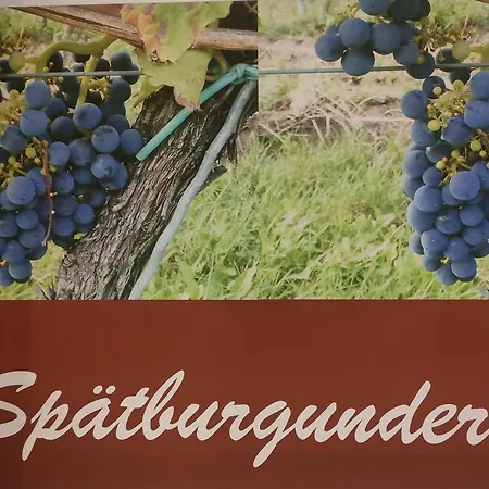 Gaestezimmer / Weingut Peter Guest house