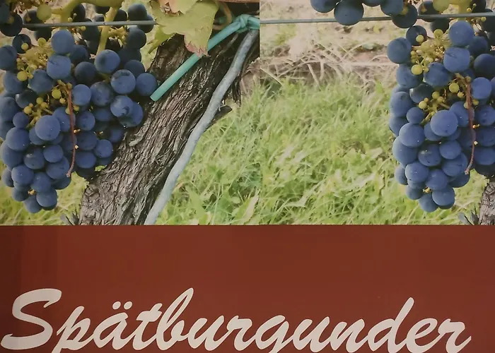 Gaestezimmer / Weingut Peter Gasthuis