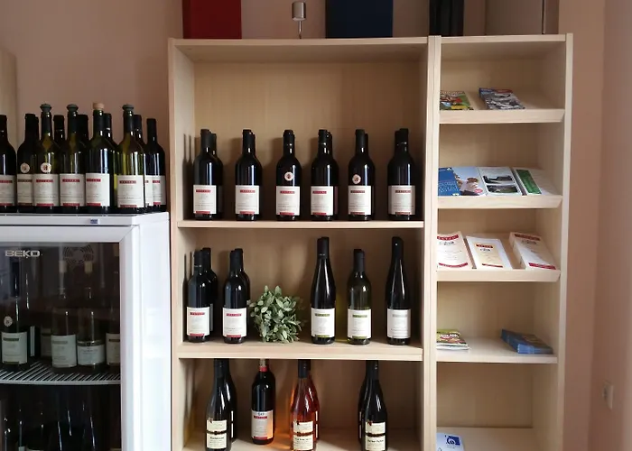 Gaestezimmer / Weingut Peter 3* Wachenheim an der Weinstraße